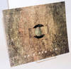 Shih Pao Lin. Symphony of life and nature II; January 24 - February 12, 1998