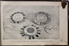 View Image 5 of 7 for Sat'amashoebis laboratoriis ek'sponatebis albomi.  Inventory #17892