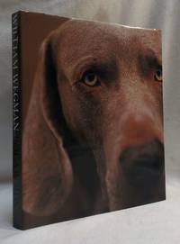 William Wegman Polaroids
