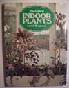 Indoor Plants