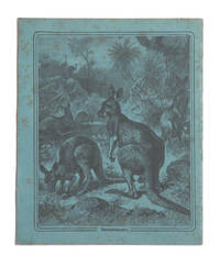 Child's exercise book with decorated Kangaroo covers