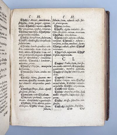 Dictionarivm Trilingve Tripartitvm Ad...; (photo 1)