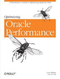 Optimizing Oracle Performance