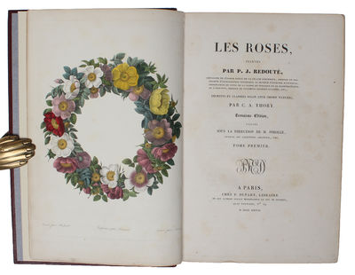 Les Roses. Vol I (out of 3). - [THE MOST CELEBRATED OF ALL FLOWERBOOKS] (photo 4)