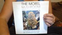 The Morel Mushroom: Information, Recipes, Lore