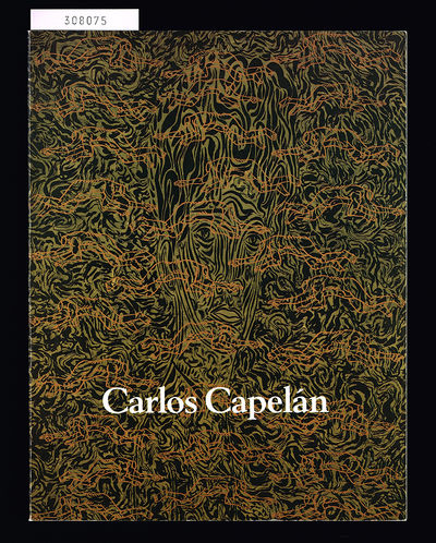 Carlos Capelán. Kartor och landskap. Lunds…