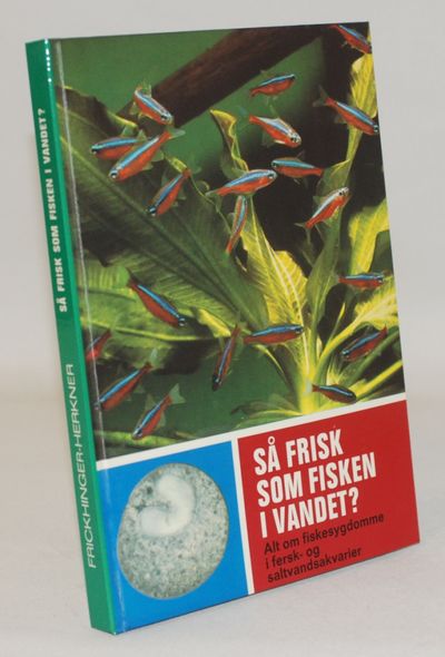 Så frisk som fisken i vandet?  Alt om…