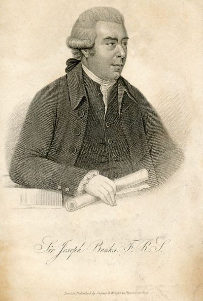 Engraved Portrait