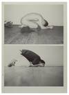 Wolfgang Tillmans (First Edition, Signed)