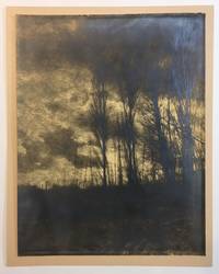 Untitled photograph (silver print)