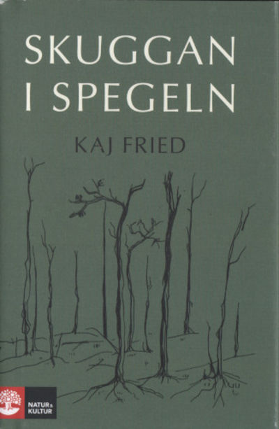 SKUGGAN I SPEGELN.