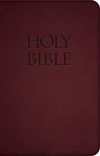Holy Bible-Nab