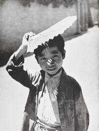 image of A Chinese Album.