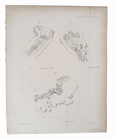 Experiments on the Section of the Glossopharyngeal and Hypoglossal Nerves of the Frog, and observations of the alterations produced thereby in the Structure of their Primitive Fibres. Communicated by Professor Owen, F.R.S. Received November 22, 1849, ... - [THE "LAW OF WALLERIAN DEGENERATION"] (photo 2)