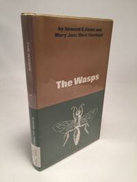 The Wasps
