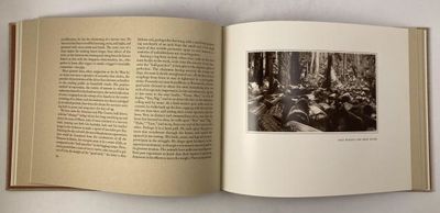 Redwood and Lumbering in California Forests. A reconstruction of the original Edgar Cherry edition. (photo 2)