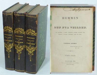 Hemmen i den Nya Verlden. En dagbok i bref,…