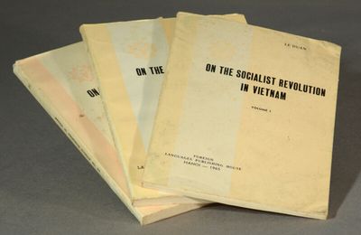 On the socialist revolution in Vietnam