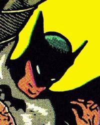Batman the Complete History : The Life and Times of the Dark Knight