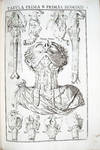 De vocis auditusq[ue] organis historia anatomica singulari...