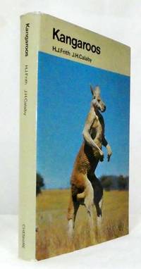 image of Kangaroos