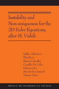 Instability and Non-uniqueness for the 2D Euler Equations, after M. Vishik: (AMS-219)