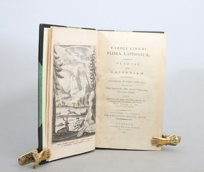 Flora Lapponica, exhibens Plantas per Lapponiam…