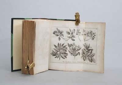 Flora Lapponica, exhibens Plantas per Lapponiam crescentes, (photo 3)
