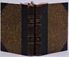 Essays in Criticism, in Two Volumes ( Copyright Edition )