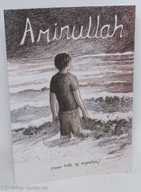 cover of Aminullah