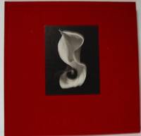KENRO IZU. STILL LIFE