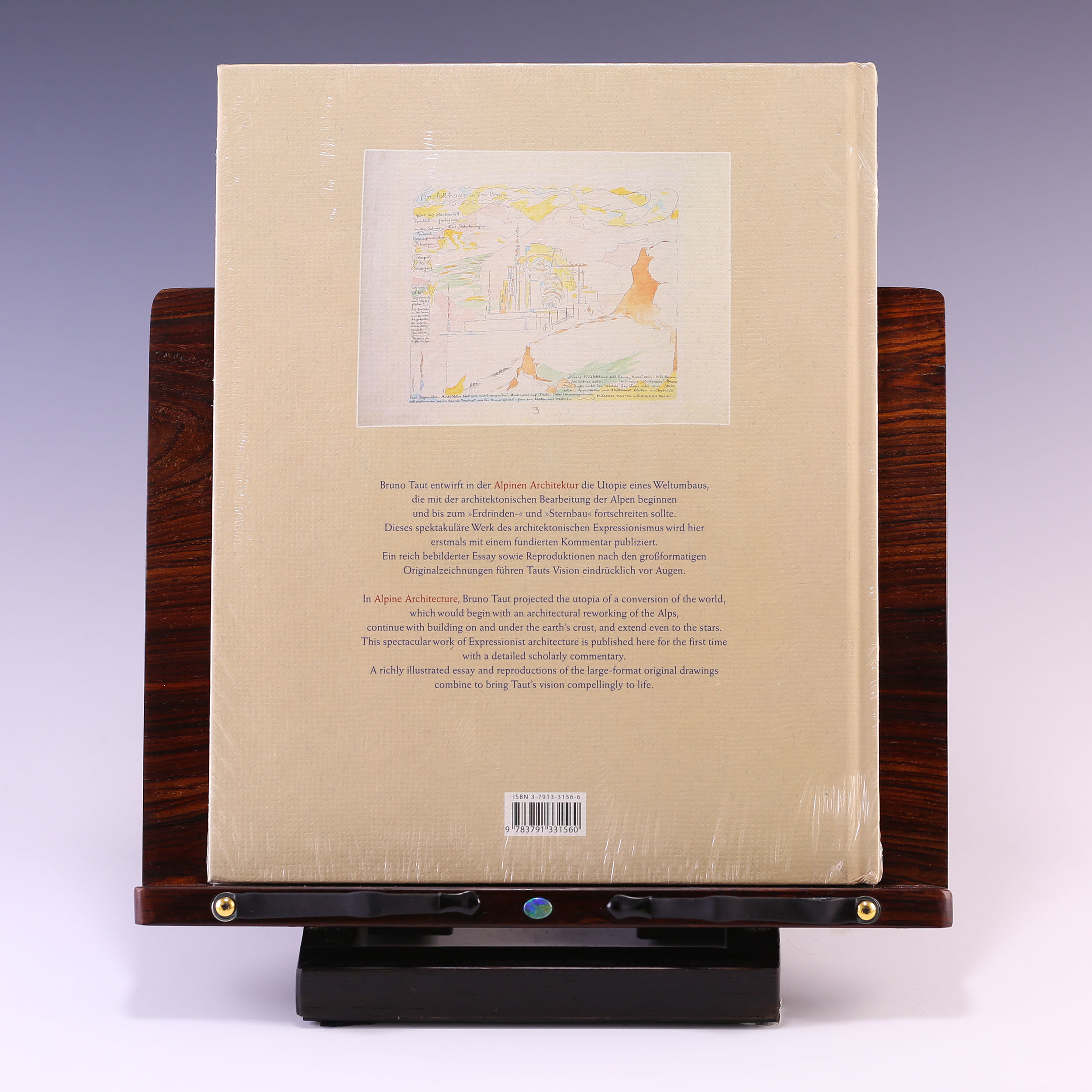 Bruno Taut: Alpine Architecture: A Utopia by Matthias