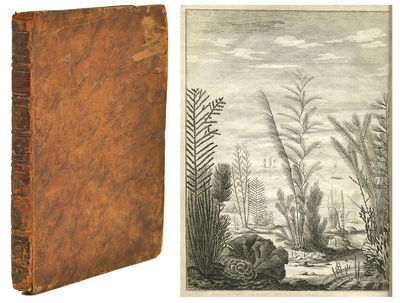 Essai sur l’histoire naturelle des corallines, et…