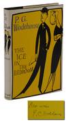 The Ice in the Bedroom
