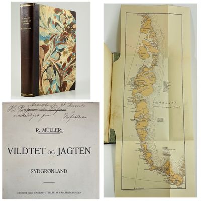 Vildtet og Jagten i Sydgrønland.