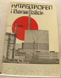 Katastrofen i Barsebäck. En fingerad…