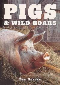 Pigs and Wild Boar
