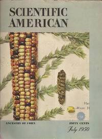 image of The Mystery of Corn from Scientific American, Volume 183, Number 1