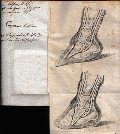 Unterricht über das Beschlag, und die Behandlung gesunder und kranker Hufe der Pferde - BOUND WITH - Hulfsbuch zur Erlernung der Anatomie für angehende Huffschmiede