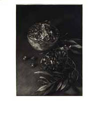 Pomegranate. Mezzotints by Judith Rothchild by Ruth Editions de l'eau. Fainlight - Hardcover - Signed - 1997 - from Priscilla Juvelis, Inc. (SKU: 8192)
