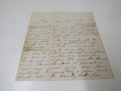Two letters from J. E. Weston Pinal AZ to Brother Thomas. One dated Aug. 29, 1881, and the other Aug. 31, 1881
