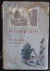 100 Pictures of Norwich. The City of Gardens, Churches and Antiquities.