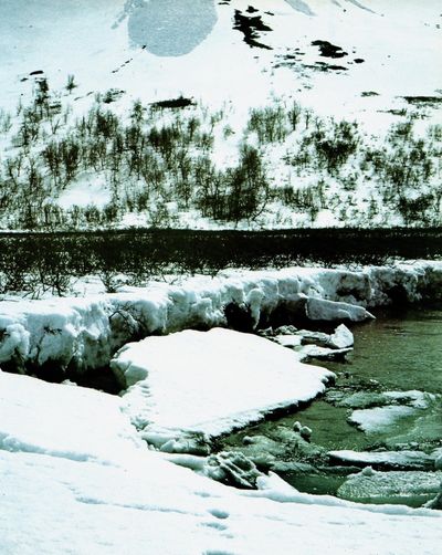 Sarek – Skandinavias største villmark. Oversatt av Dag Biseth. (photo 2)