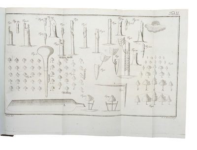 Handbuch über die Obstbaumzucht und Obstlehre. Zweyte vermehrte und verbesserte ausgabe. - [RARE WORK ON POMOLOGY] (photo 3)