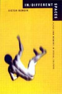 In/Different Spaces : Place and Memory in Visual Culture