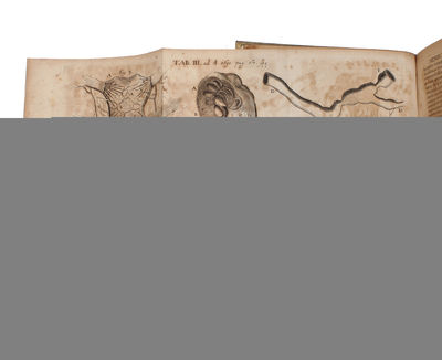 1. De Linea in quam Flexile se pondere proprio curvat, ejeuque usu insignia adinveniendi quotcunque medias proportionales & Logarithmos. - 2. De Solutionibus Problematis Catenarii vel Funicularis in Actis A. 1691, aliisque a Dn. I.B. propositis. (1-2:... (photo 2)