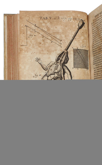 1. De Linea in quam Flexile se pondere proprio curvat, ejeuque usu insignia adinveniendi quotcunque medias proportionales & Logarithmos. - 2. De Solutionibus Problematis Catenarii vel Funicularis in Actis A. 1691, aliisque a Dn. I.B. propositis. (1-2:... (photo 3)