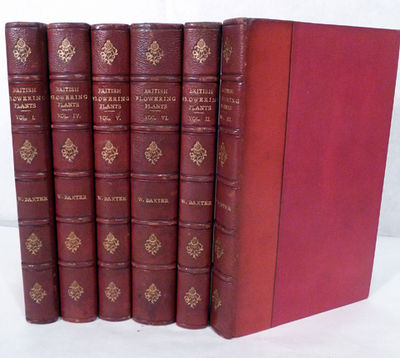 British Phaenogamous Botany; Or, Figures And Descriptions Of The Genera Of British Flowering Plants