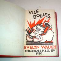 cover of VILE BODIES.