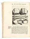 A restitvtion of decayed...; (photo 19)